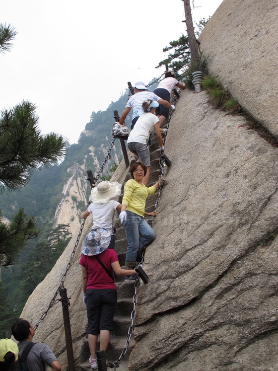 You don't have to be a profession climber