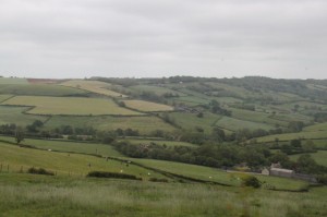 A Green filed