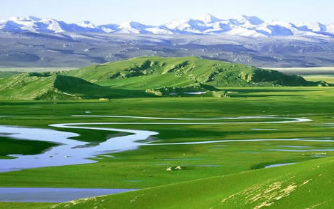 Bayanbulak Grassland (Bayinbuluke) Travel Guild