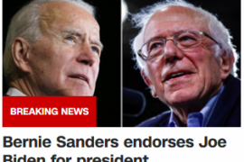 伯尼·桑德斯（Bernie Sanders ）支持乔·拜登（ Joe Biden）成为总统。