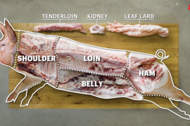 有关猪肉的常用英语词汇