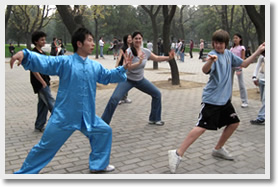北京中国武术太极拳