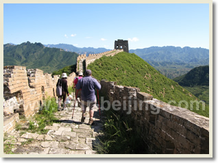 Apricots Picking and Hike Jinshanling Great Wall Tour