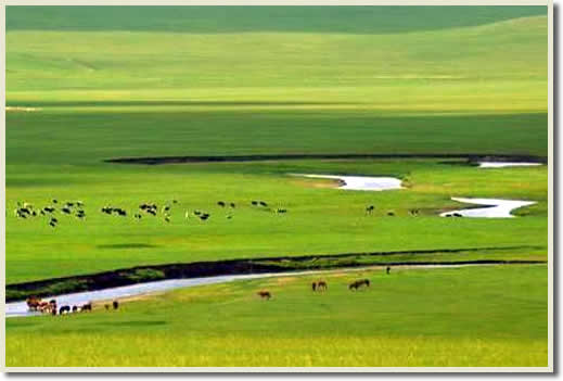 Beijing Kangxi Grassland