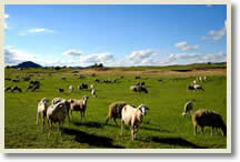 Beijing Kangxi Grassland