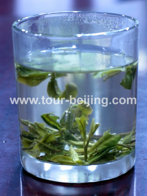 Hangzhou Longjing Tea Plantation