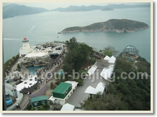 Ocean Park Half Day Tour