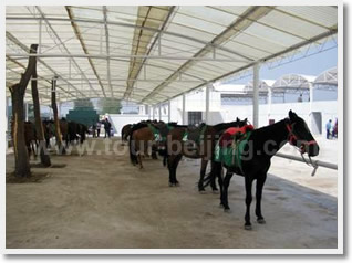 Horseback Riding and Summer Palace Day Tour