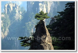 Huangshan & Hongcun Village 4 Day Tour