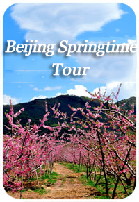 Beijing spring Tour Beijing spring Tour