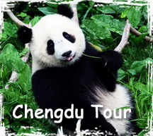 Chengdu Tour