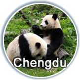 Chengdu Transit Tour