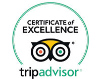 trip advisor