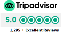 TripAdvisor