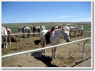 horseback riding