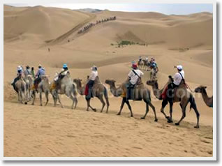 one hour's camel ride