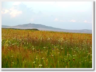 5 Day Inner Mongolia Kublai Khan and Grassland Exloration Tour