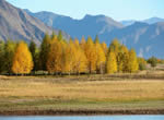 Lhasa Nam Co