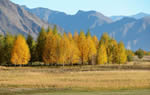 Lhasa Nam Co