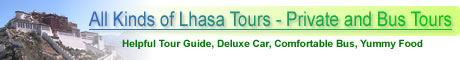 All Kinds of Lhasa Tours - Private and Bus Tours