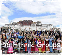 56 Ethnic Groups