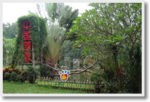 Tropical Wildlife Garden