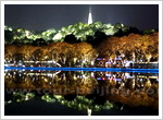 West Lake Night View