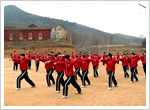 Visit Shaolin Temple