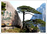 Top 10 Attractions in Huangshan