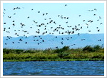 Dalinur Lake