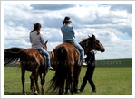 Hulunbuir Grassland