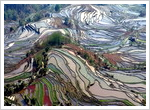 Top 10 Places in Yunnan