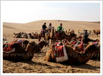 Tonghu Grassland in the Tengger Desert