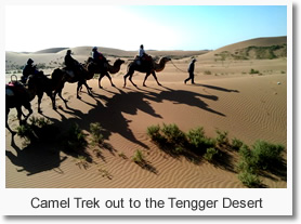 Camel Trek in Tengger Desert