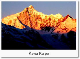 Kawa Karpo Paradise