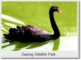 Daxing Ambling and Hiking Trips