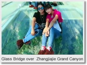 Glass Bridge & Yellow Dragon Bridge Day Tour