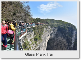 Shanghai Zhangjiajie Highlight 4 Day Tour