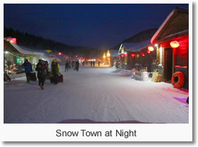 Snow Town at Night