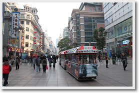 Shanghai Highlight Layover Day Tour