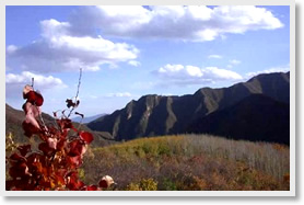 Songshan Forest Park and Guyaju ( Ancient Rock Dwelling) Fall Foliage Tour