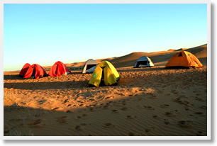 Camel Trek in Tengger Desert