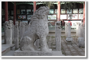 Forest of Stone Steles Museum