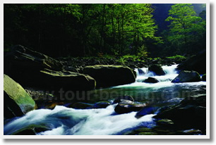 Zhangjiajie National Forest Park