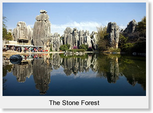 Stone Forest