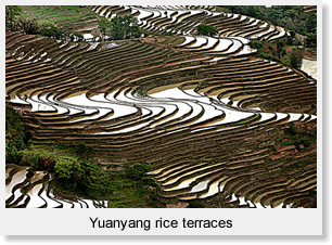 Yuanyang rice terraces