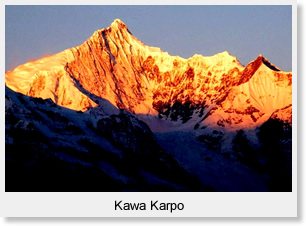 Kawa Karpo