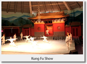 Kung Fu Show