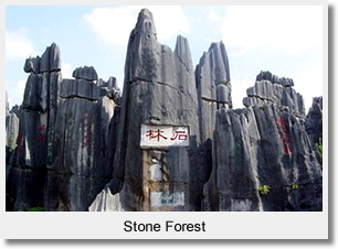 Stone Forest