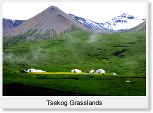 Tsekog Grasslands